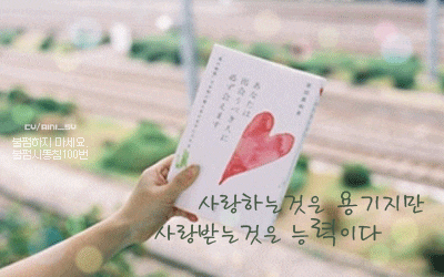 송하원 이미지