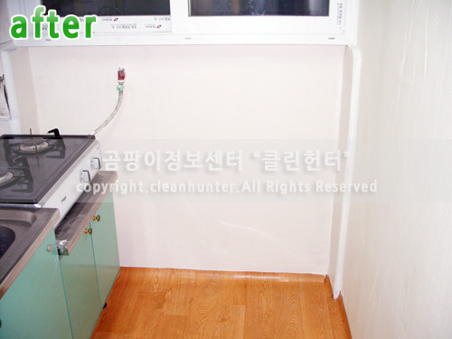 곰팡이헌터 이미지