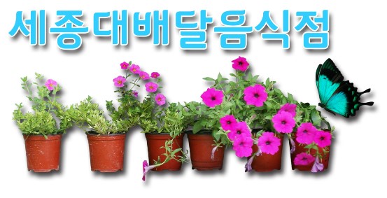 7번가왕족발 이미지