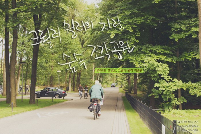 숲의조각 이미지