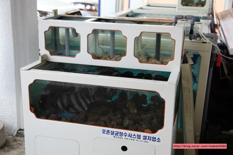 청운횟집 이미지