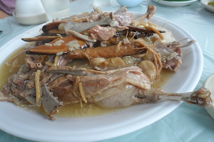 다 오리 이미지