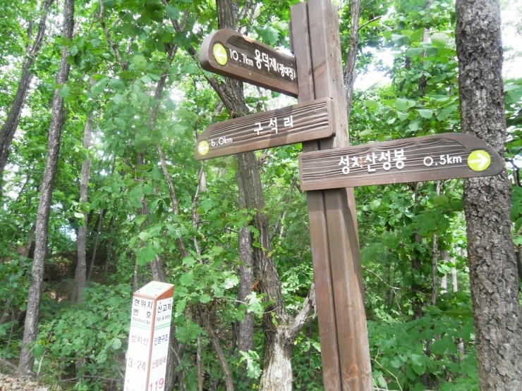 골짜기과일 이미지