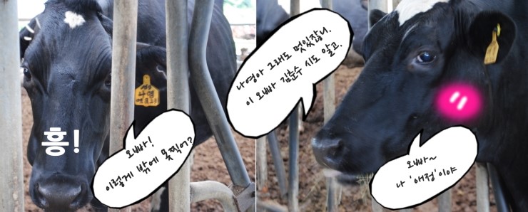 석송농장 이미지