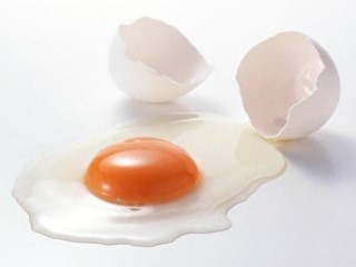 JN식품 이미지