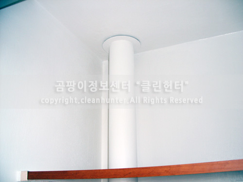 곰팡이헌터 이미지