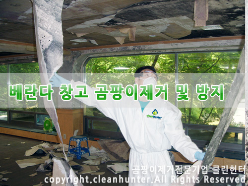 곰팡이헌터 이미지