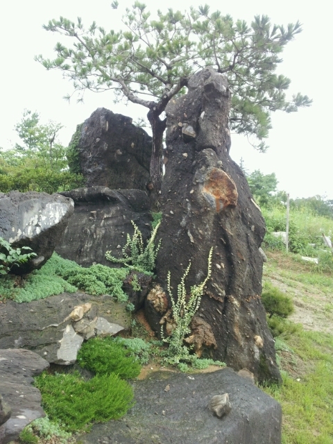 푸름조경 이미지