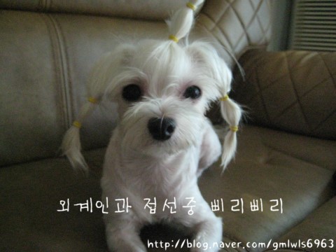얌얌 이미지