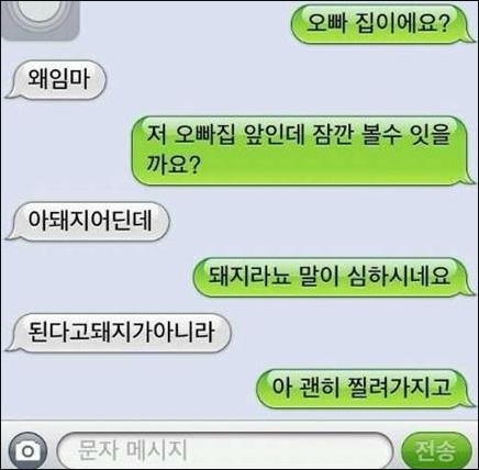 돼지오빠 이미지