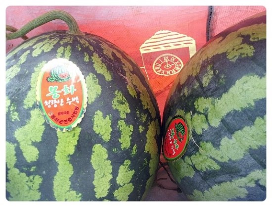 봉화농산 이미지