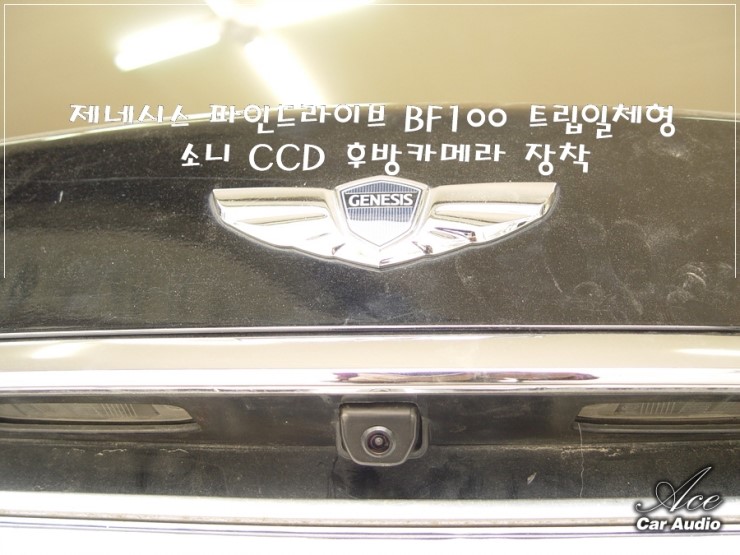 디지모터스 이미지