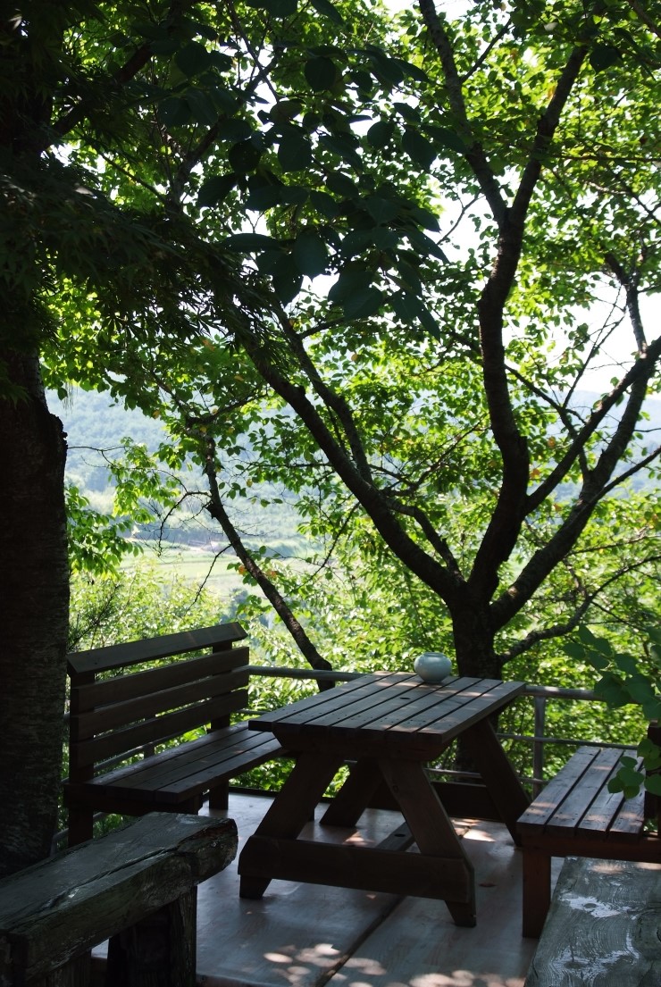 차향만리 이미지