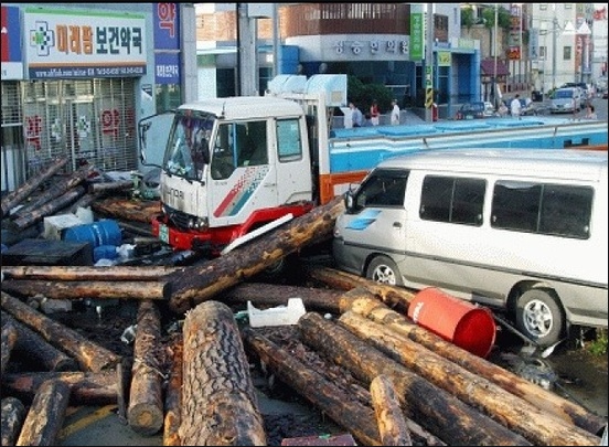 태풍상회 이미지