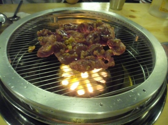 나노갈매기 이미지