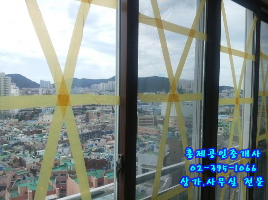 법무법인자연수 이미지