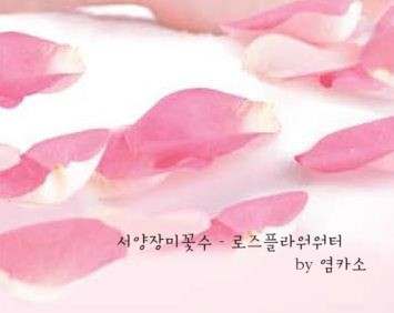 로즈플라워 이미지
