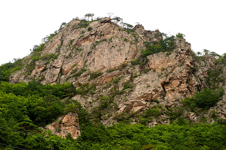 용대황지캠핑장 이미지