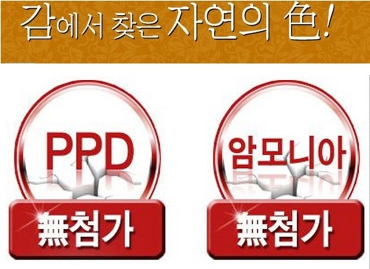 감이조아 이미지