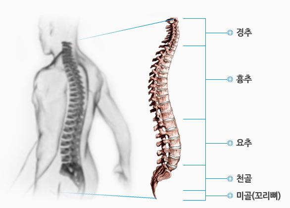 척탑병원 이미지
