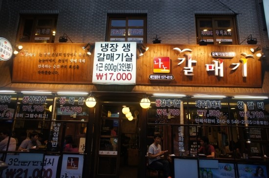 나노갈매기 이미지