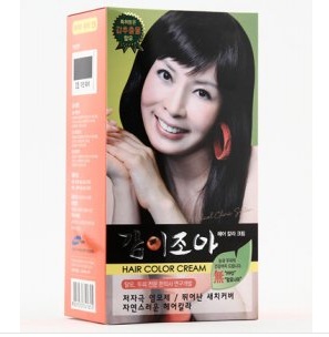 감이조아 이미지