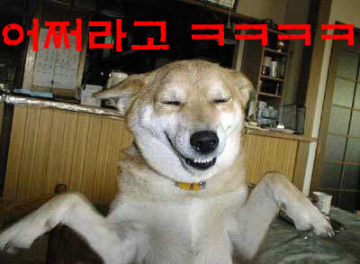 장례나라 이미지