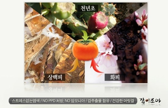 감이조아 이미지