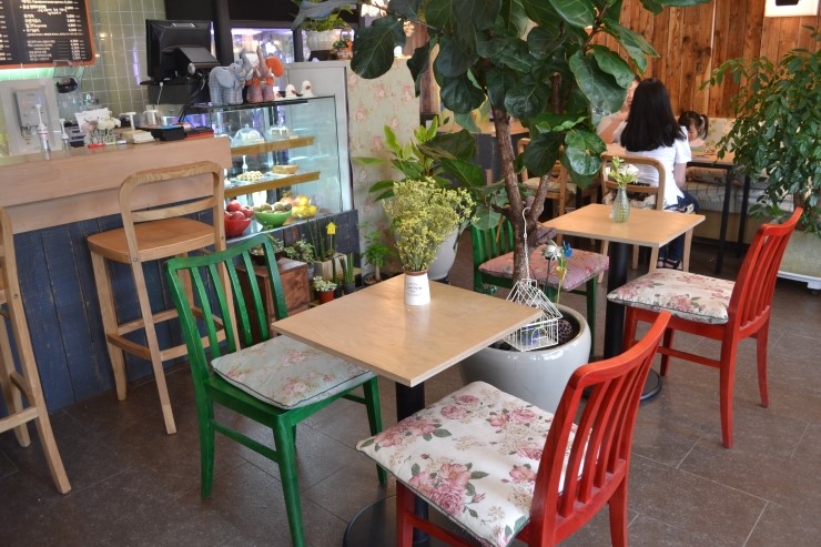 커피블러썸(coffee blossom) 이미지