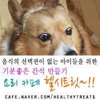 모모맘마 이미지