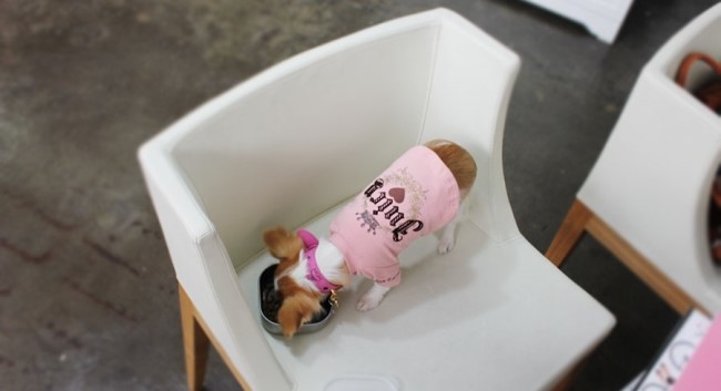 머츠샵 이미지