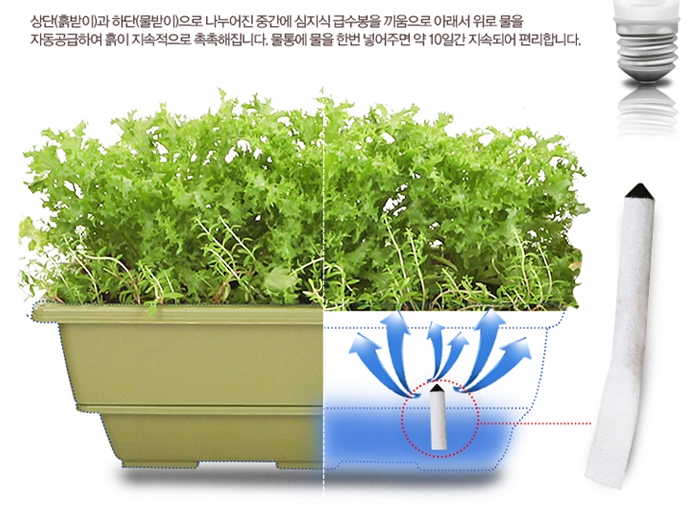 화분들닷컴 이미지