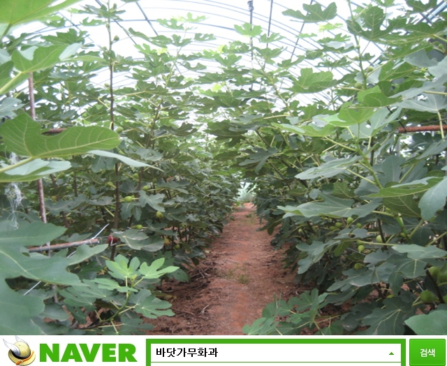 신안건재 이미지