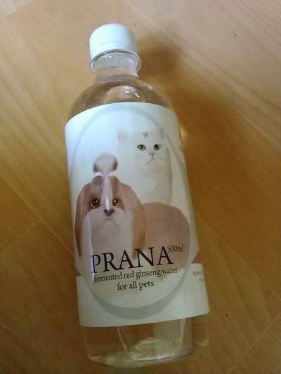 산초분식 이미지
