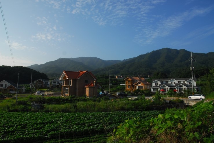 시골친척 이미지