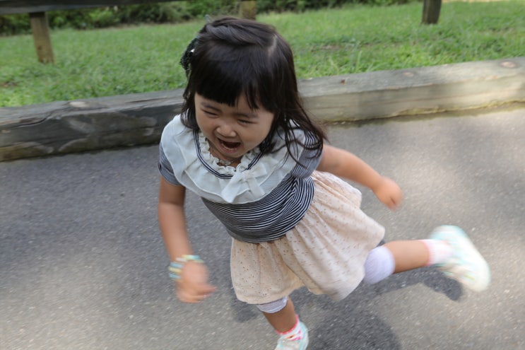 아디딧 이미지