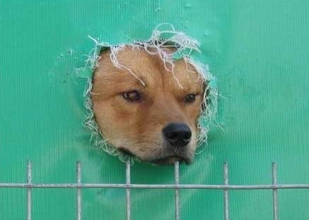 헐 이미지
