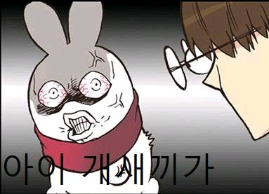 마고 이미지