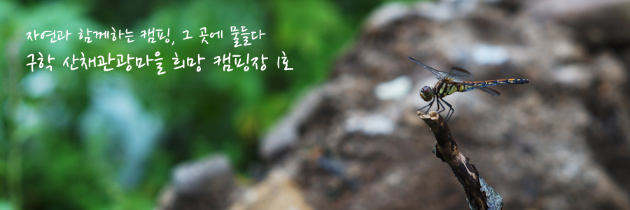 구학리산채관광마을 이미지