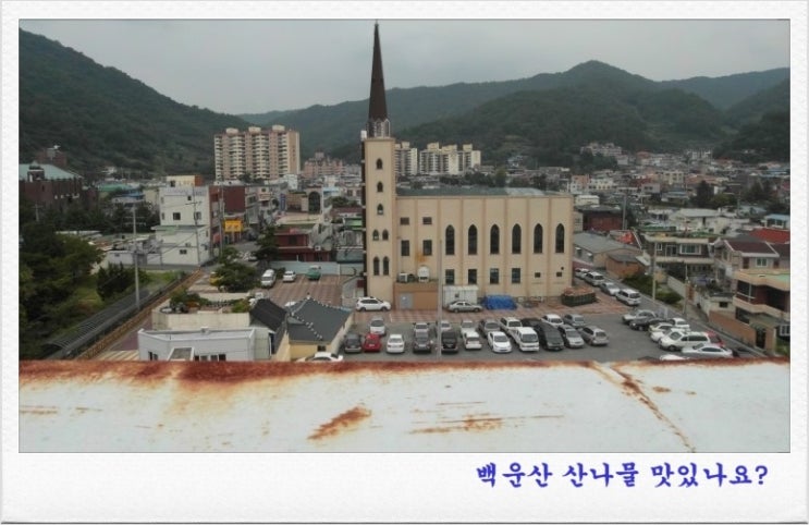 푸른인력 이미지