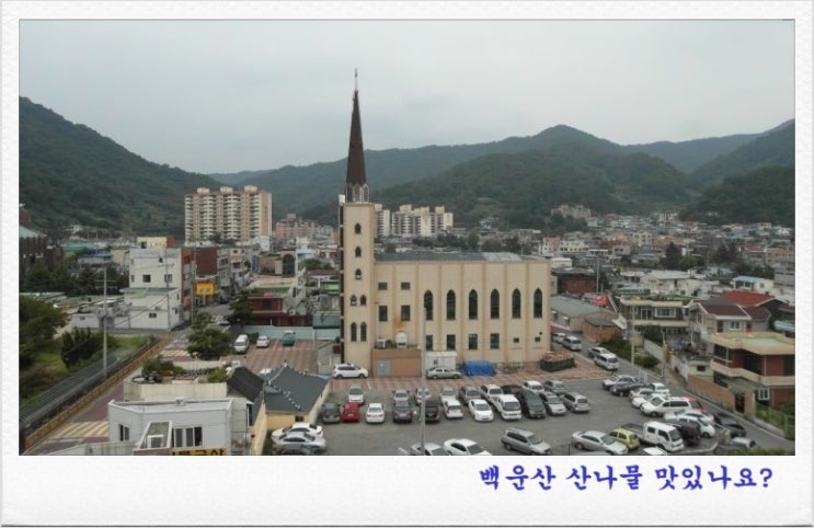 푸른인력 이미지