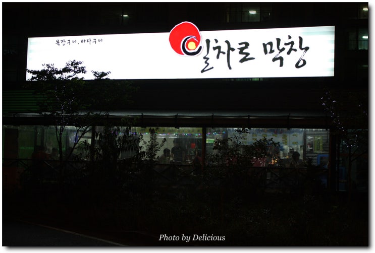 일차로막창 이미지