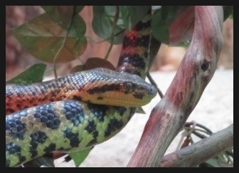 블랑블랑 이미지