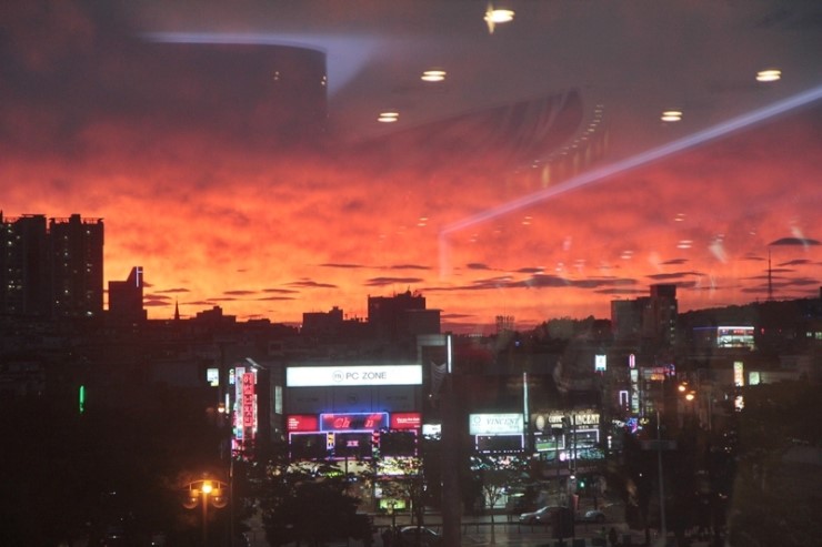 착한씨푸드 이미지