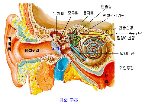 막고막창 이미지