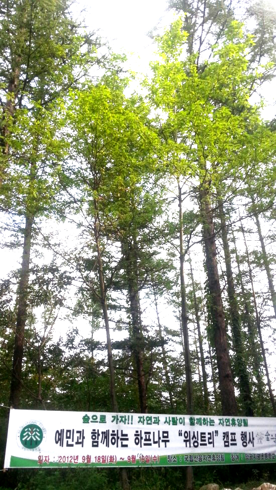 국립자연휴양림관리소(산음자연휴양림) 이미지