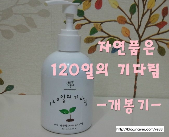 샤보뎅 이미지