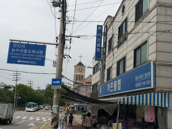 대일침장 이미지