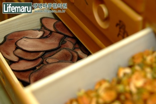 약재마루 이미지