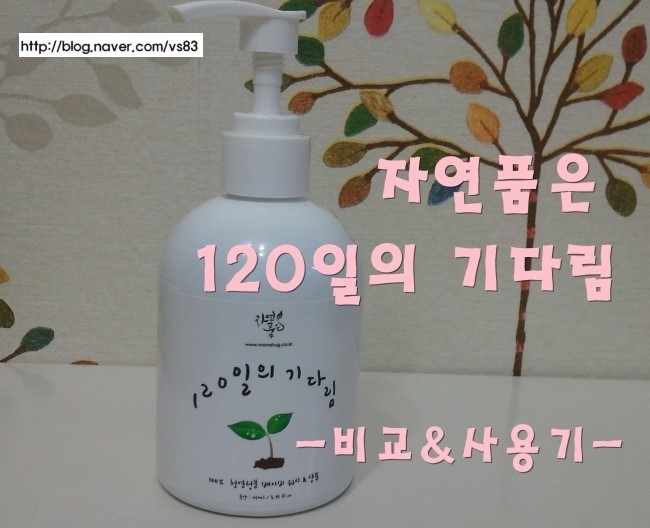 샤보뎅 이미지